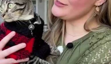 How to protect your pets during cold weather in South Texas