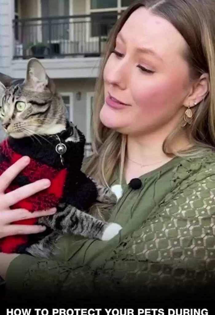 How to protect your pets during cold weather in South Texas