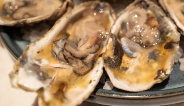 Texas among states in salmonella outbreak linked to oysters