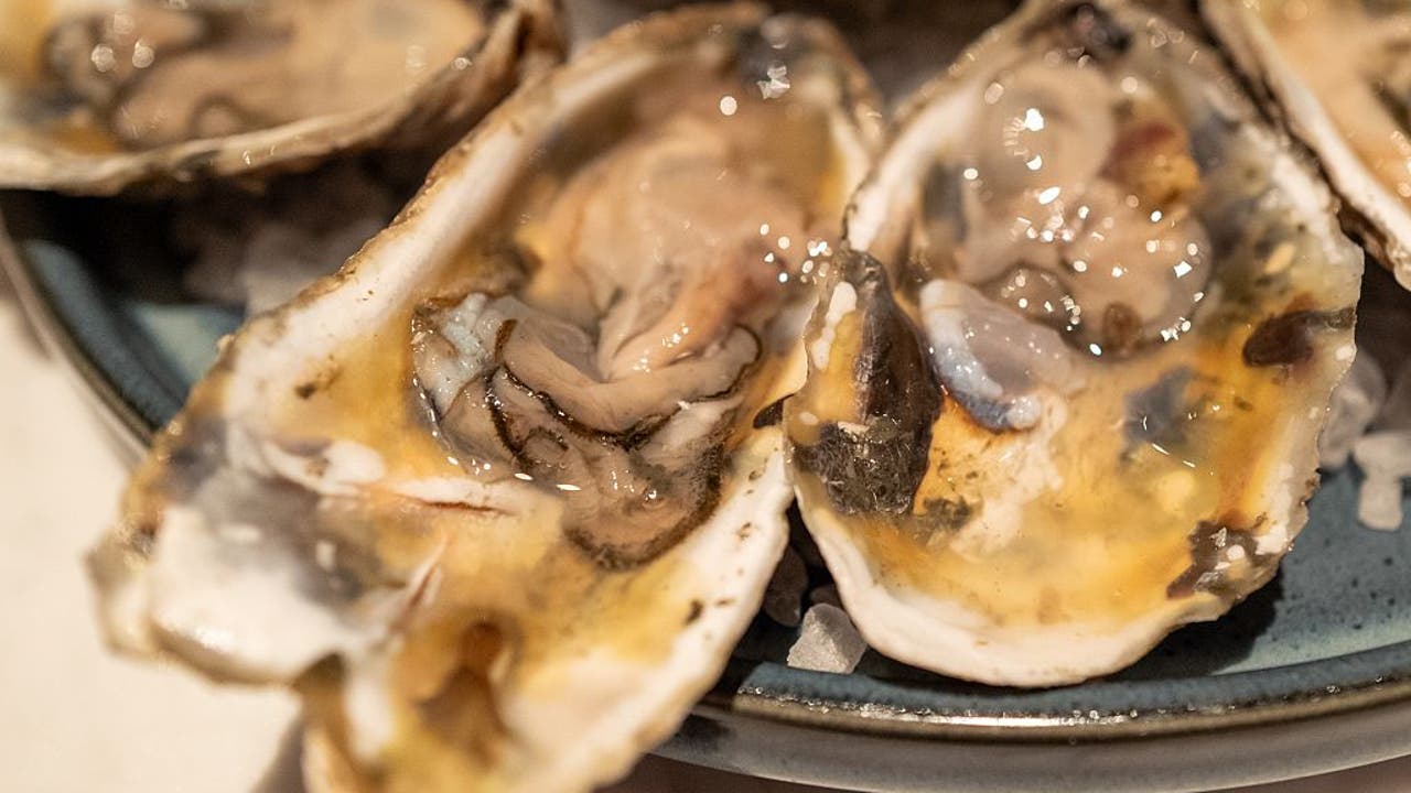 Texas among states in salmonella outbreak linked to oysters