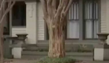 Houston’s new short-term rental ordinance takes effect Thursday after Third Ward shooting