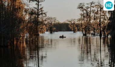 Buffalo Bayou serial killer rumors reignite conversations about Texas's Lady Bird Lake ‘Ripper’