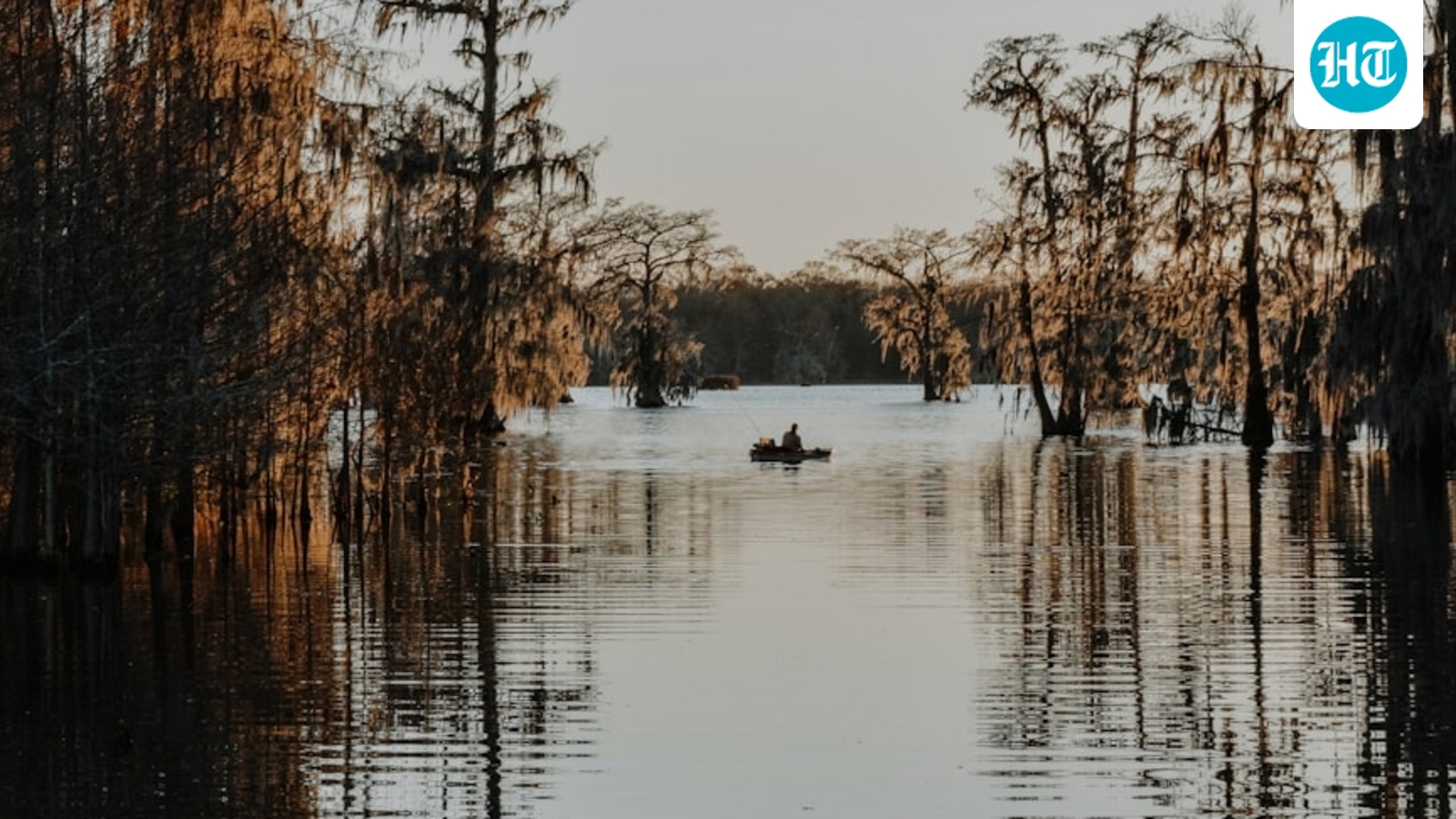 Buffalo Bayou serial killer rumors reignite conversations about Texas's Lady Bird Lake ‘Ripper’