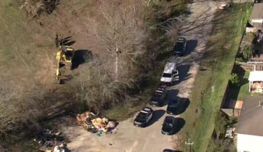 Possible skeletal remains found in SE Houston lot