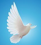 Patricia Baker | Laclede County Record