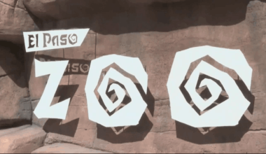 station icon