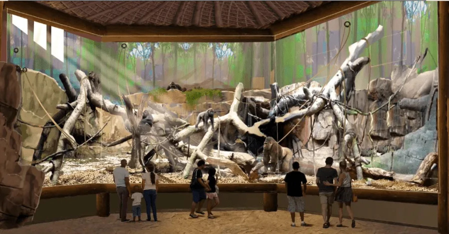 The San Antonio Zoo opened its new habitat for gorillas, Congo Falls, on Saturday, which features three distinct habitats, lush landscaping, dynamic water features, and enrichment zones. (San Antonio Zoo Rendering)