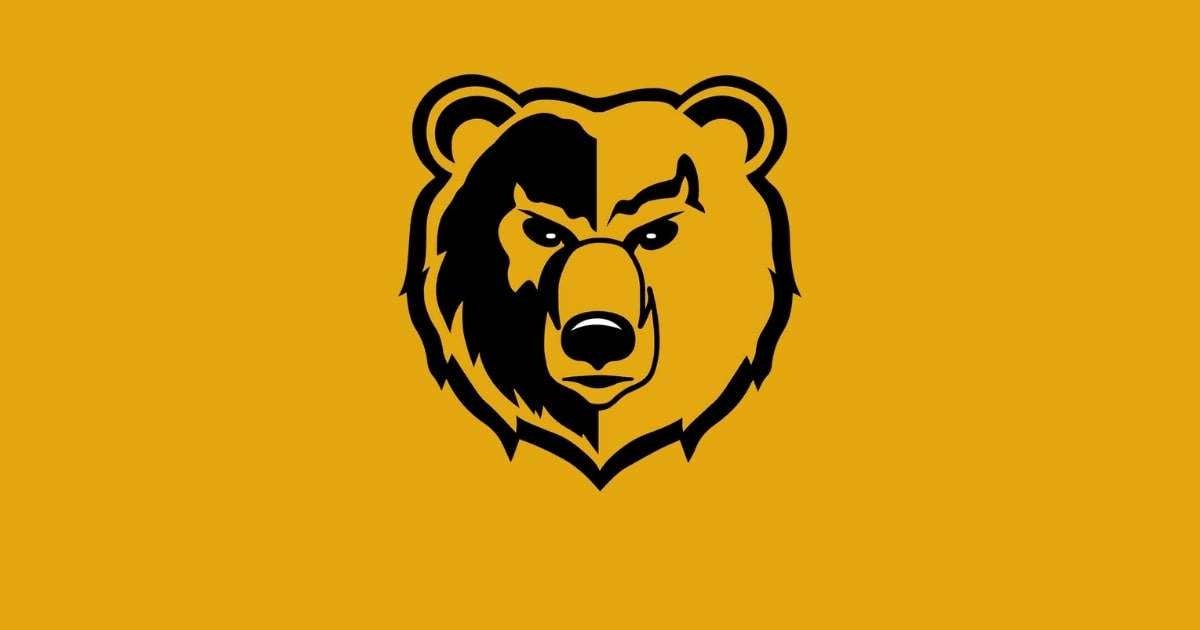 South Oak Cliff player arrested, teammate hospitalized after winning state, police say