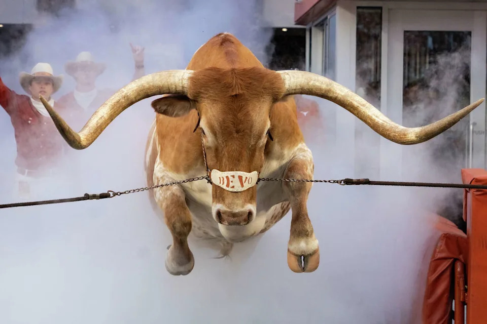 Bevo takes the field before the Texas Longhorns’ game against the Sam Houston State Bearkats at Darrell K Royal–Texas Memorial Stadium in Austin, Saturday, Sept. 20, 2025. (Mikala Compton/Austin American-Statesman)