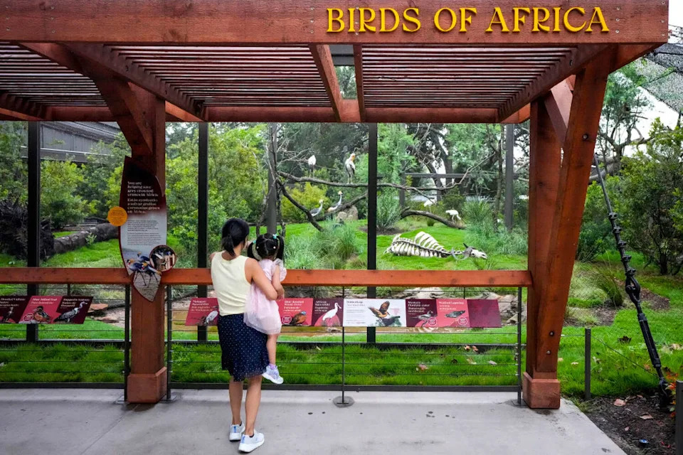 Judy Zhu holds Christina Chen as they take in the Houston Zoo's new Birds of the World exhibit on Friday, Aug. 30, 2024 in Houston. (Brett Coomer - Staff Photographer)