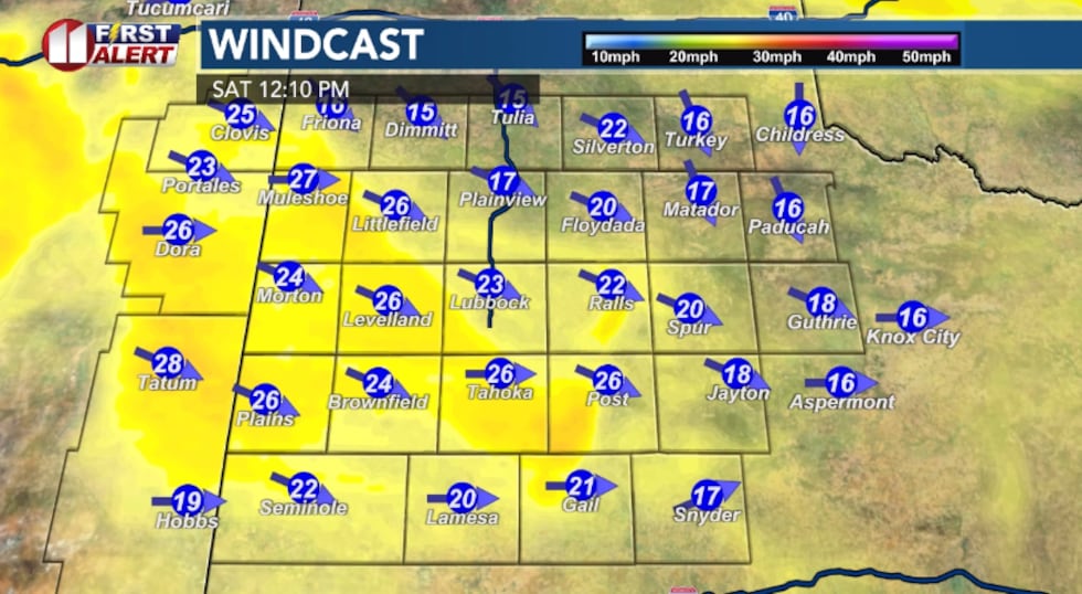 Computer model projection of wind speed Saturday