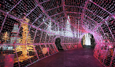 Cinema Nights, annual Snowball 5K & 1K, ‘The Sound of Music’