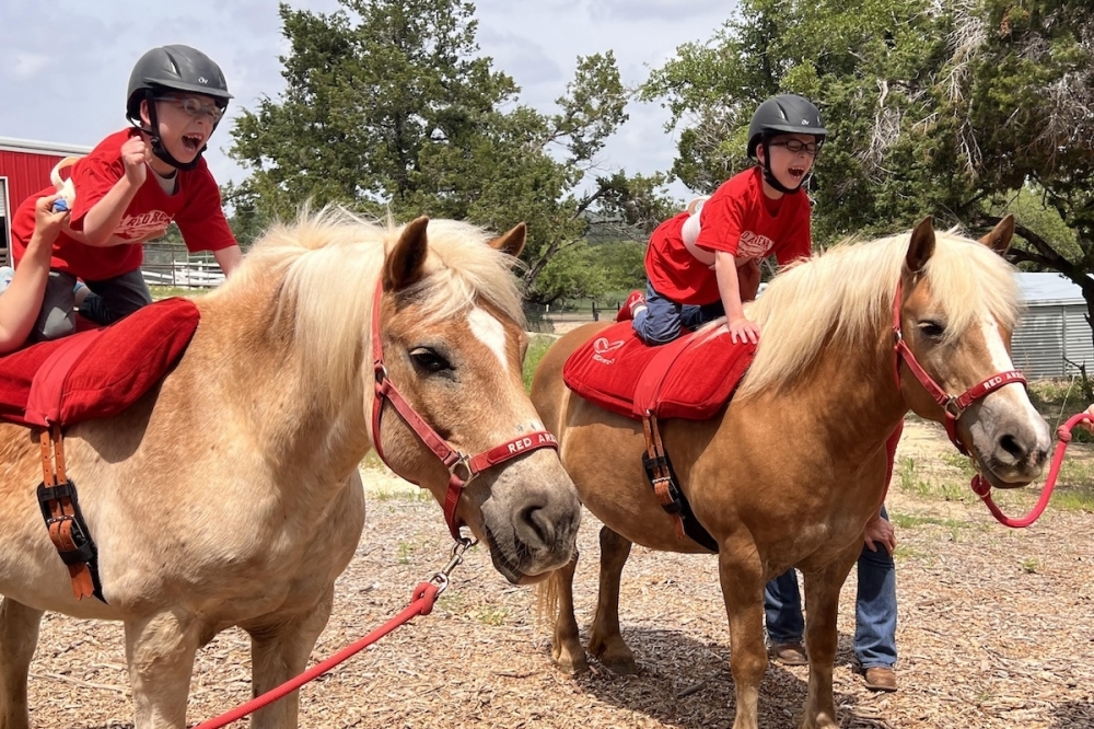 Children riding ponies