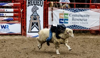 a kid holds on to a sheep at a rodeo