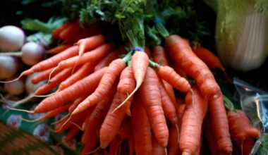 Check out the free Plano food pantry – Shaw Local