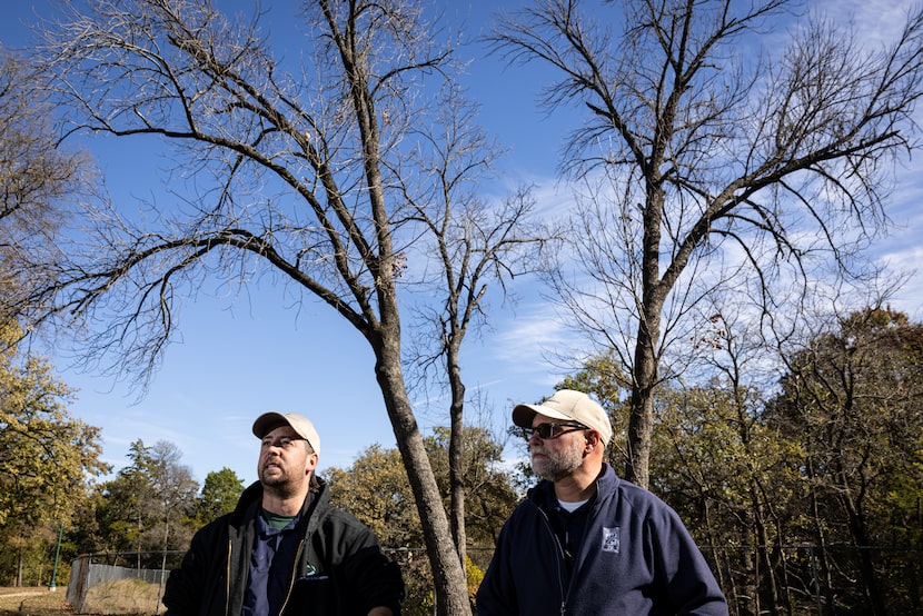 The Dallas Park and Recreation Department’s Christopher Morris (left), an urban biologist,...