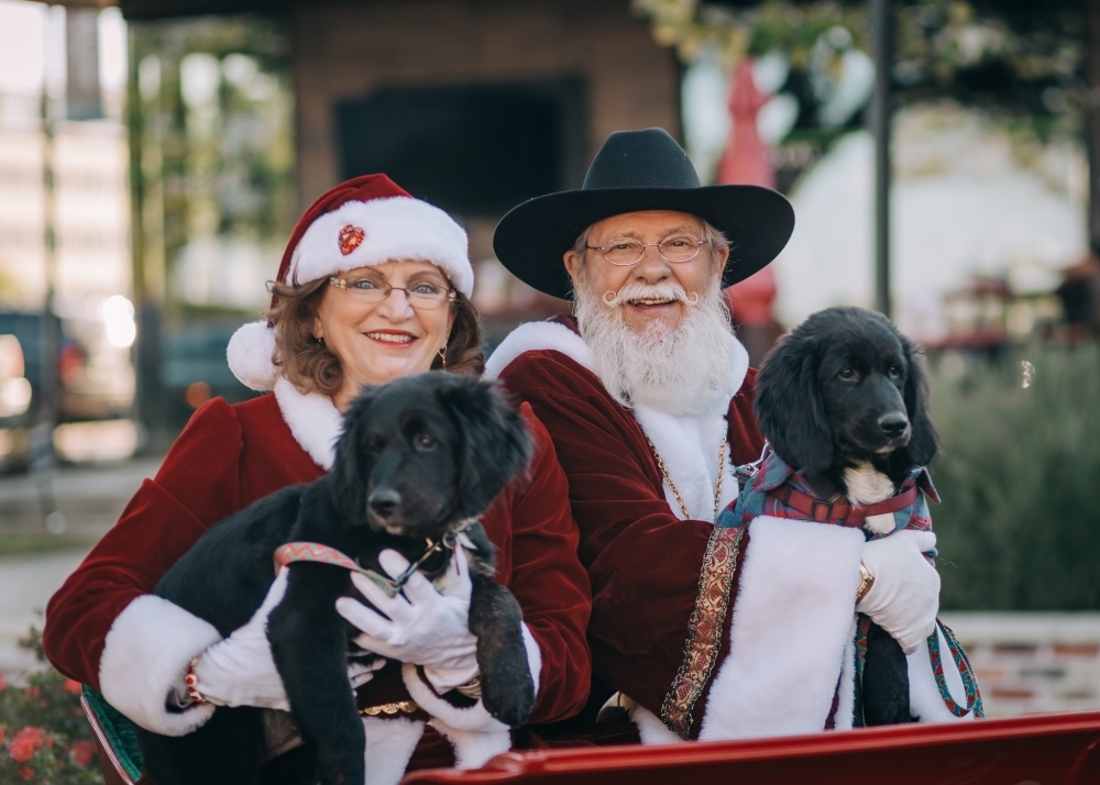 man and woman dressed as santa clause holding dogs