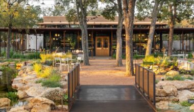 LEONA Botanical Cafe & Bar officially opened in Sunset Valley on Nov. 11. (Courtesy LEONA Botanical Cafe & Bar/Photo by Diana Rothery)