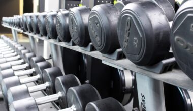 A variety of dumbbells on a rack in a gym.