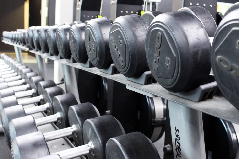 A variety of dumbbells on a rack in a gym.