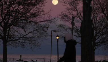 Cold front will move through North Texas this weekend. See when temperatures could drop
