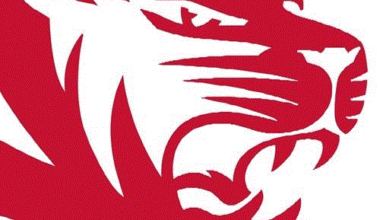 Martin Tigers vs. Calallen Wildcats + How To Watch