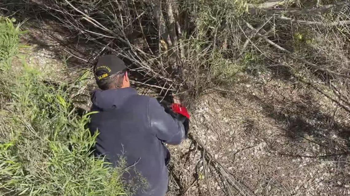 This 200-acre property sat silent for 80 years in Ingleside and now it’s about to become a money machine