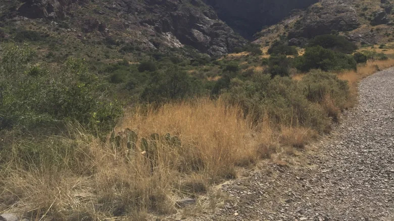 Franklin Mountains State Park in El Paso, Texas