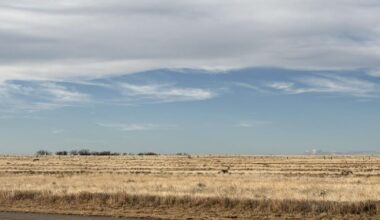 The geography of grief, from Louisiana across Texas: Risher | Entertainment/Life