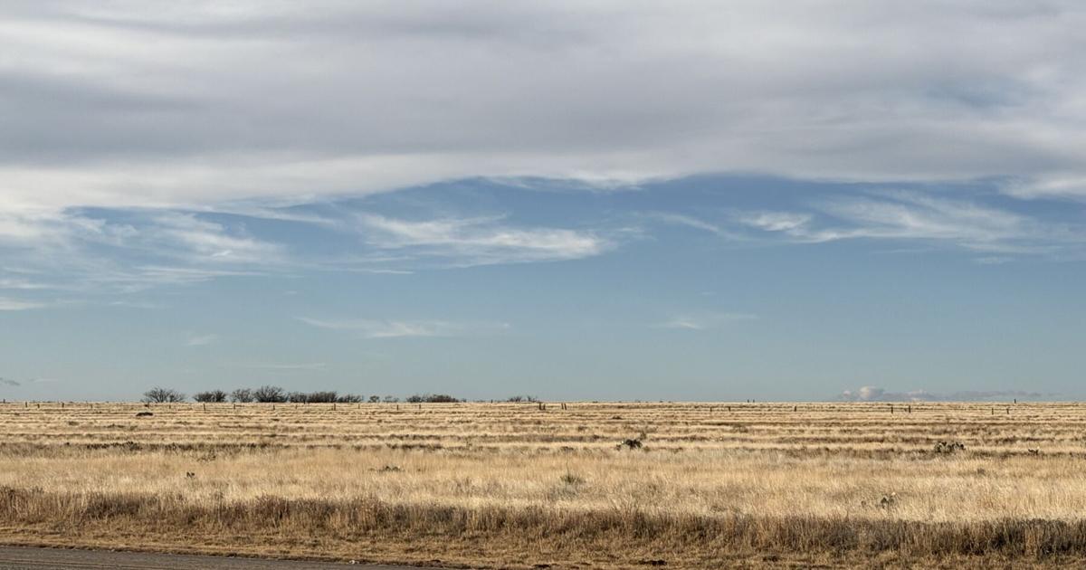 The geography of grief, from Louisiana across Texas: Risher | Entertainment/Life