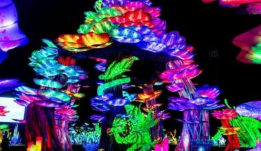 Masters of Light: Artisans from Zigong, China, Bring Centuries-Old Lantern Art to Tianyu Lights Festival in Grand Prairie | Texas