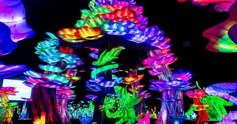 Masters of Light: Artisans from Zigong, China, Bring Centuries-Old Lantern Art to Tianyu Lights Festival in Grand Prairie | Texas