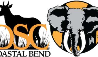 DSC Announces New DSC Coastal Bend Chapter in Corpus Christi, Texas