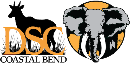 DSC Announces New DSC Coastal Bend Chapter in Corpus Christi, Texas