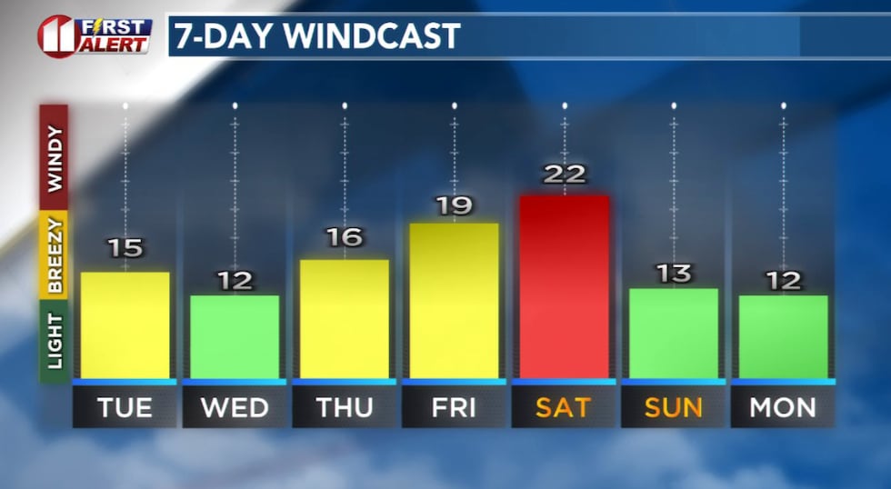 Forecast peak sustained winds are shown in this graph. Peak gusts will exceed the values shown...