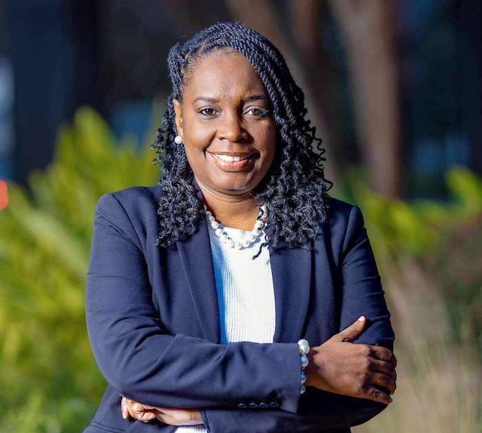 Harris County treasurer arrested, accused of breaking into car