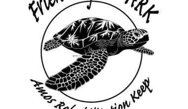 Friends of the ARK pop-up shop to run Dec. 19 to 24