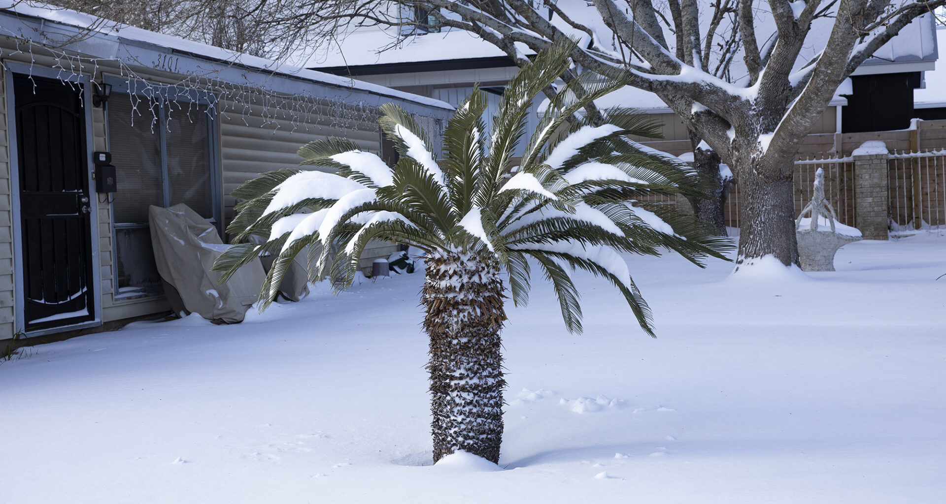 Get Prepped for Winter Weather • The Austin Chronicle