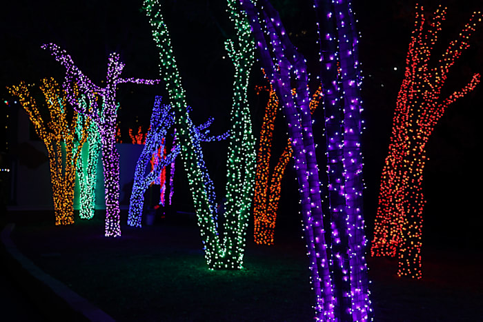 ‘Elf The Musical,’ Frozen Fourth Friday, Ricos River Rally