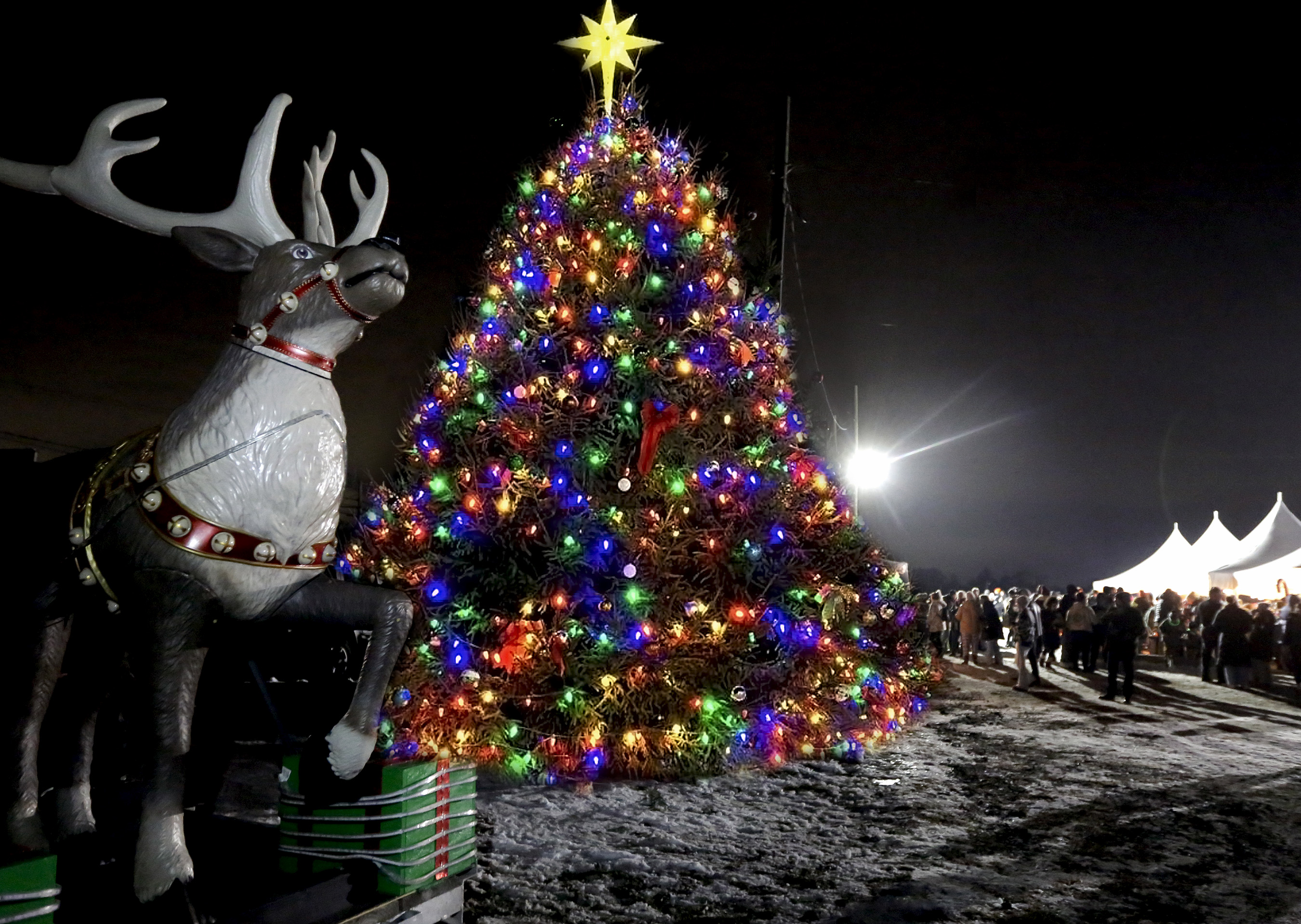 Hundreds of people participate in the 9th annual Dallas Township...