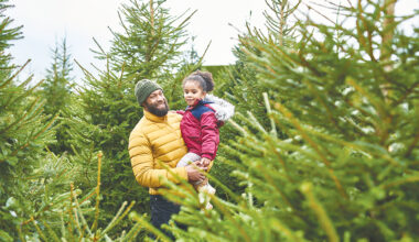 Texas demand growing for live Christmas trees