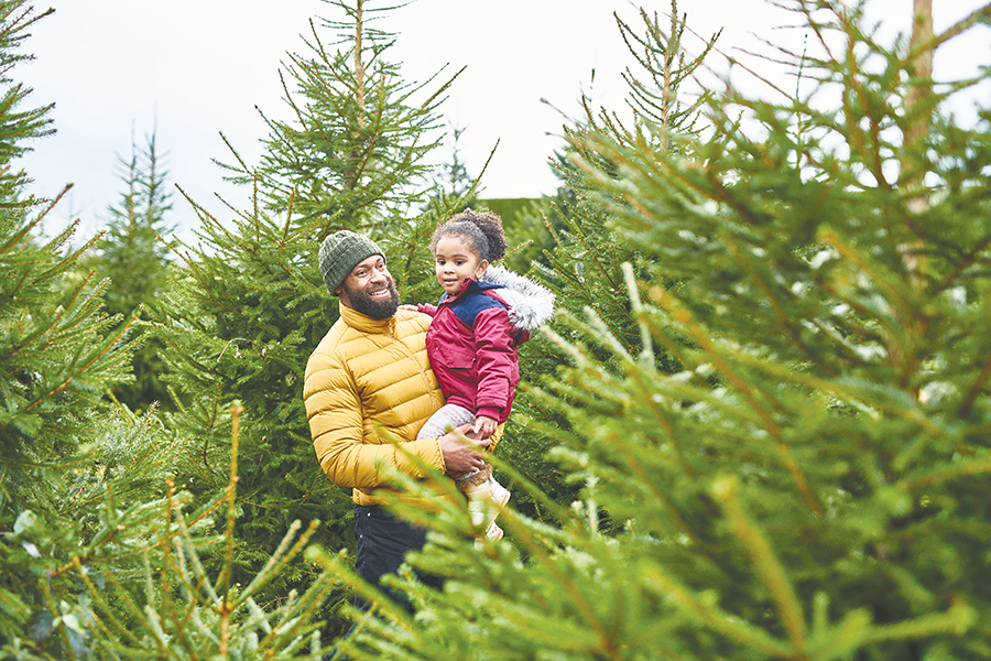 Texas demand growing for live Christmas trees