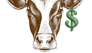 Beef prices are high but Texas ranchers deserve a break