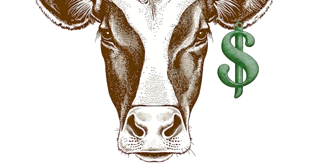 Beef prices are high but Texas ranchers deserve a break