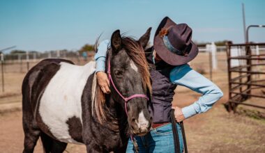 Fur Friday: Darth Vader finds his light at Humane Society of North Texas Equine Ranch
