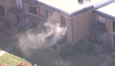 Firefighters rescue 2 people and 1 dog from apartment in Dallas – NBC 5 Dallas-Fort Worth