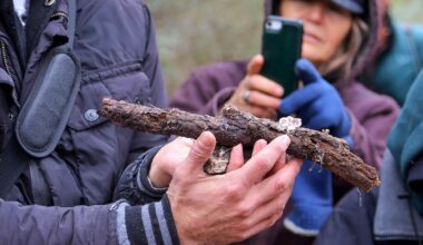 Nature-curious North Texans discover world of fungi in Arlington mushroom foraging event