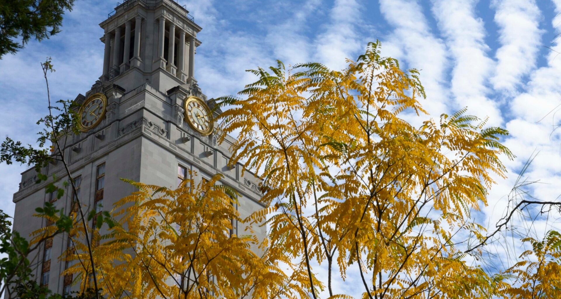 Get To Know 5 UT Researchers Leading the Charge Against Dementia - UT Austin News