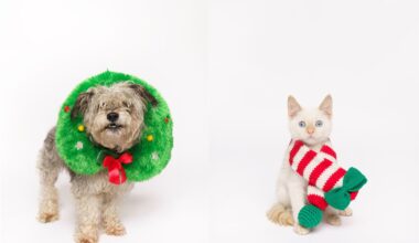 Fur Friday: Warm and fuzzy pets embody holiday cheer for Fort Worth-area families who adopt