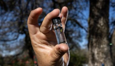 This invasive beetle has been in North Texas for about 8 years and is deadly to ash trees